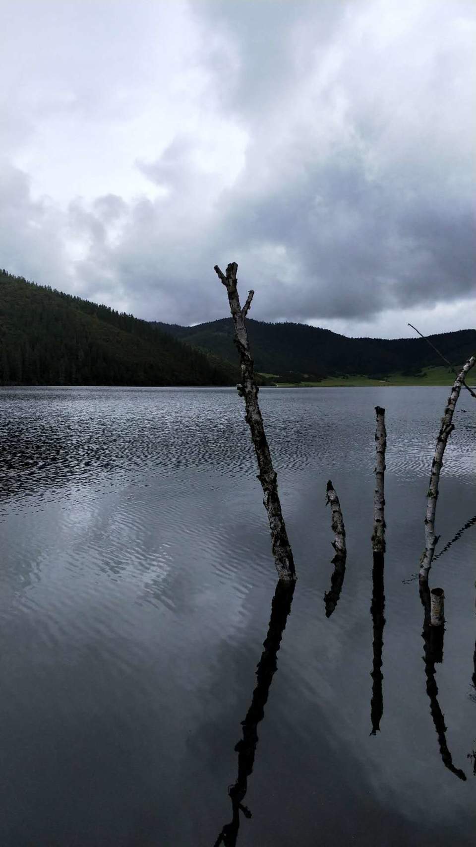 YB2Jw1O3pvikRDYCbpk-y3CdPBMCRu7Wn0fhGngQ9vx6m6PYvWUnXR0TOairIc0k