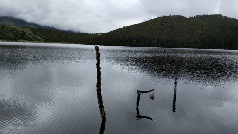 SNI2Pl3_-zbThgZyIcC_GKJL3glpg_vdrXc01zp5Ial8sFgGXXN5rdWVM-WYl5KK