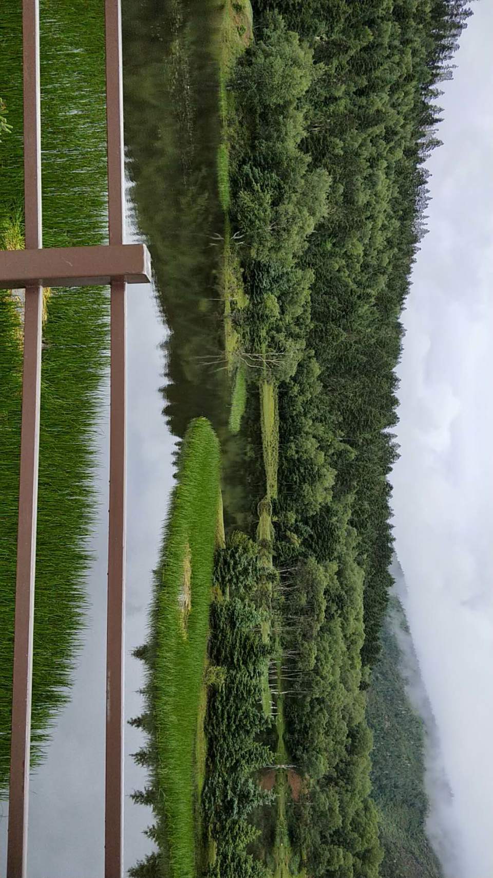 bd_q7Z3A1PguC_-5vZUnfgyZ3h4Xy_olf6CuDIv0cf8wYd5e7KtmUEKPuc-ohEhF