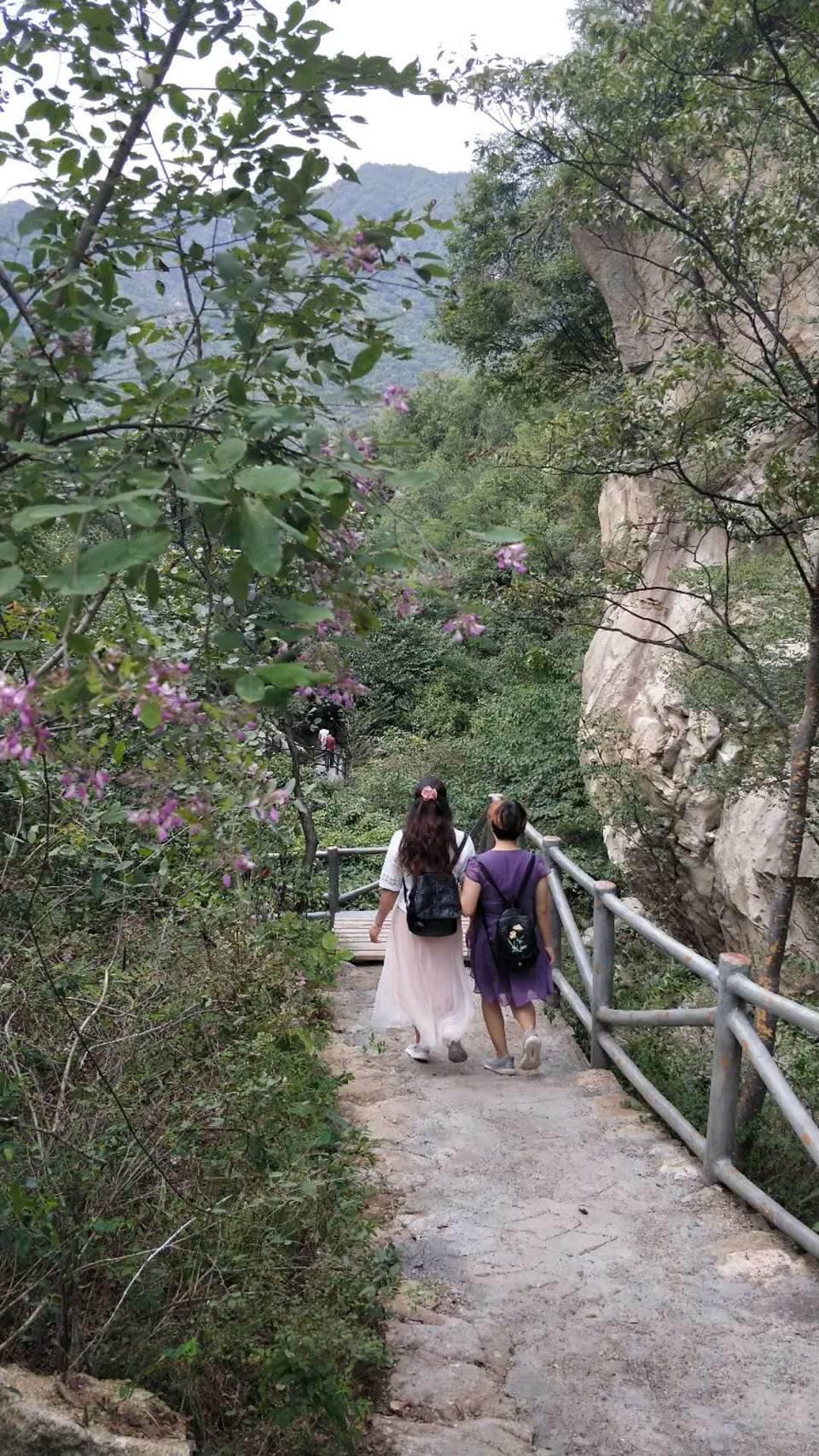 NY6shK3SeX7MKvRTJo4Zk9hwtZ9uQLGpK1xZgEPio1aNznDRx_l4j91IxUBfijQP