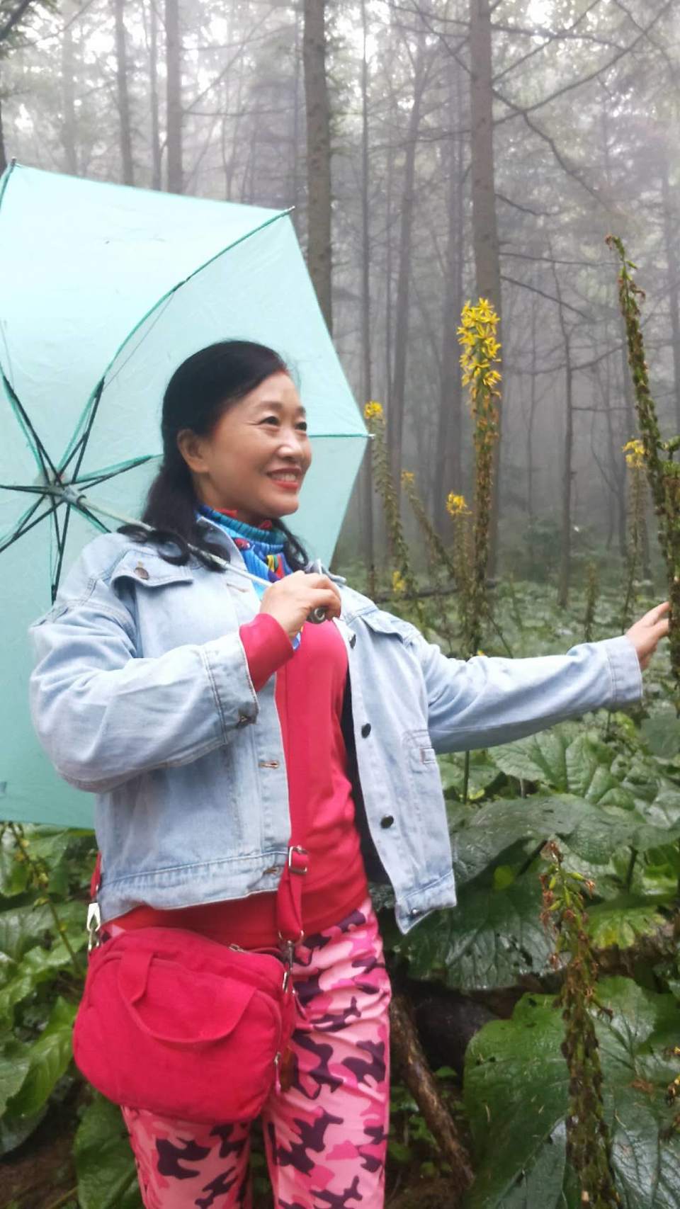 La3Ujc5oB2yXH2Eygb8oELGRcs1wZXdQNi7xX7f2IpEo7wIdF98tlecmTqB-cAdc