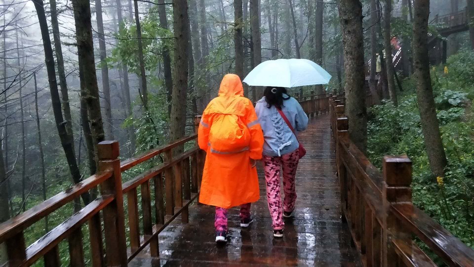 AvgfSliPkwUww0iYuvMWXLRZSY0juA6mX3EQBlgmGz1z8XjIcVFLMaPYfCVl9xWQ