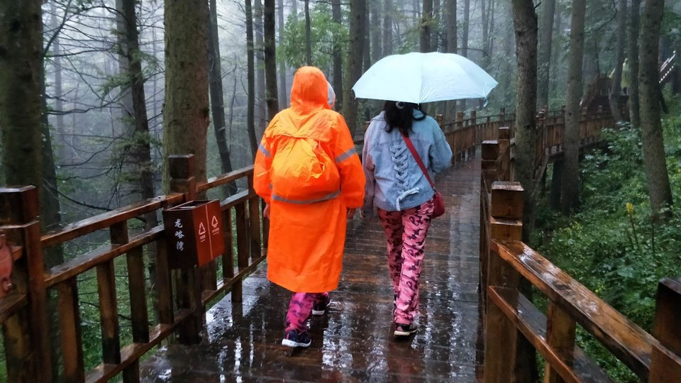 mRiNcn_92Zr4yfdLNAP9NldZS560dqCBUC-8p39Ge91CuWRJ5oDDHphuG_RzNmDd