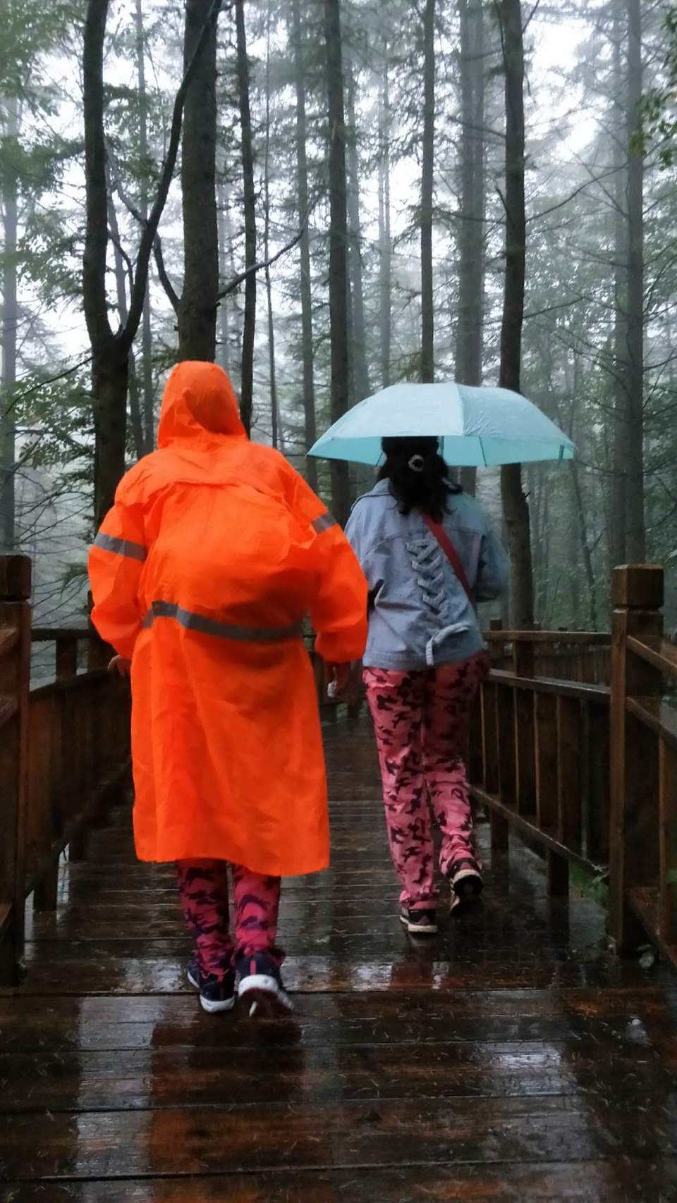 mK5G8ZqjHXLyyt7tdlXHAQbPZqM9IAUFtOENi9Vz7mJkGbJ0CGzk9PN9MJkBOi4K