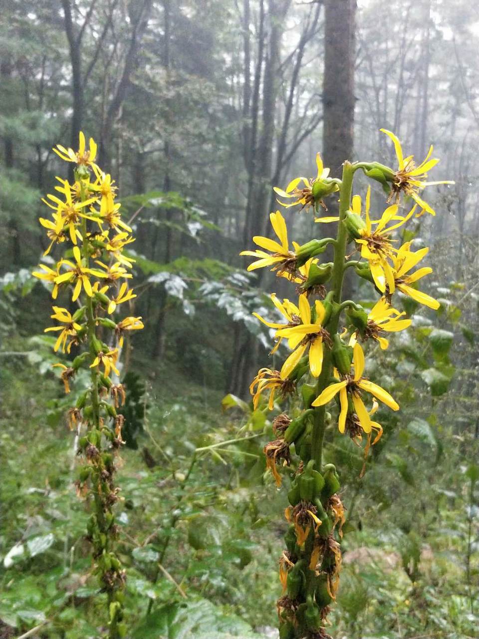 RmLJ0_3pvSBbaNXclzDTsHOQyNnlNmvY0m9S9j6NbyvVqToGeAV-_fU8abr284v4