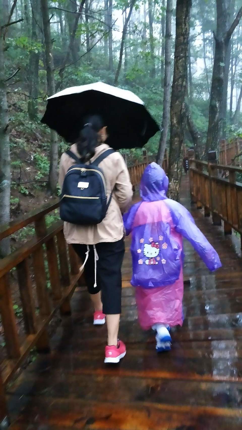 krYEcxGV2zq-wLU7NGhkLoVz9LE7ztUwp-rd9k6eR6j49dt5TRalvNoQke2J0yWK