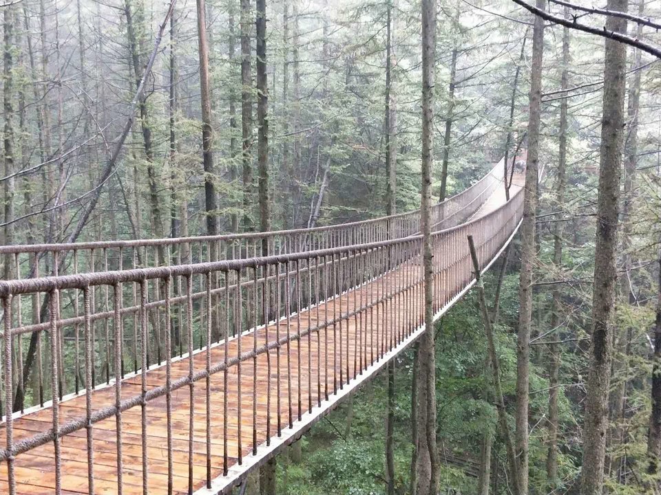 OhFZIVWZhBYyfTp5XzfF8pDDhhsWEkTfc0OdriYNylTzmyuhwRtxdBddKTfIQLUc