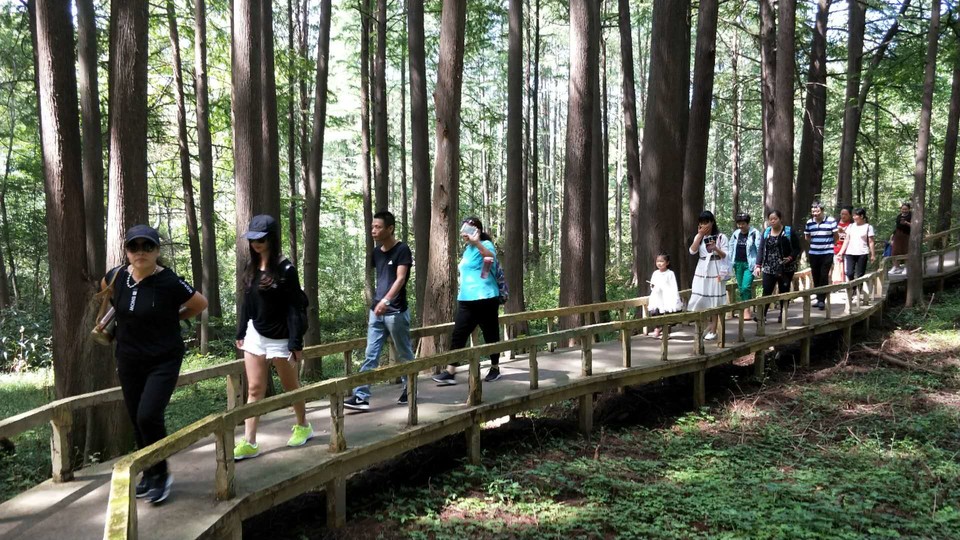 qfLezjHphiNO4NicLiIlAtNzqHnWStNEHvKbBoFru2LAOItvDEiItcmJk1CBENmZ