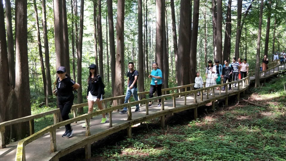 nI5KC0L5mzHwbKyuxCKvfbI0ThFZcy8S7yszsc9JxblppxX0IK7Vt3lSmGkyqxxi