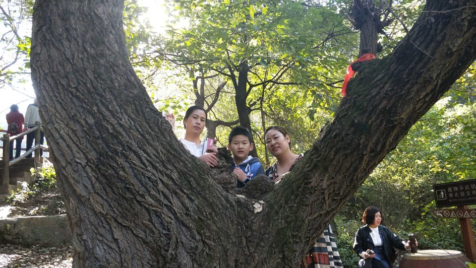 KHhEVB6X3HxUMAB2cv76t3J7qPz_fQQ65SI5_T8F1w8PUVXR_WFZip1Eke_lkAUA