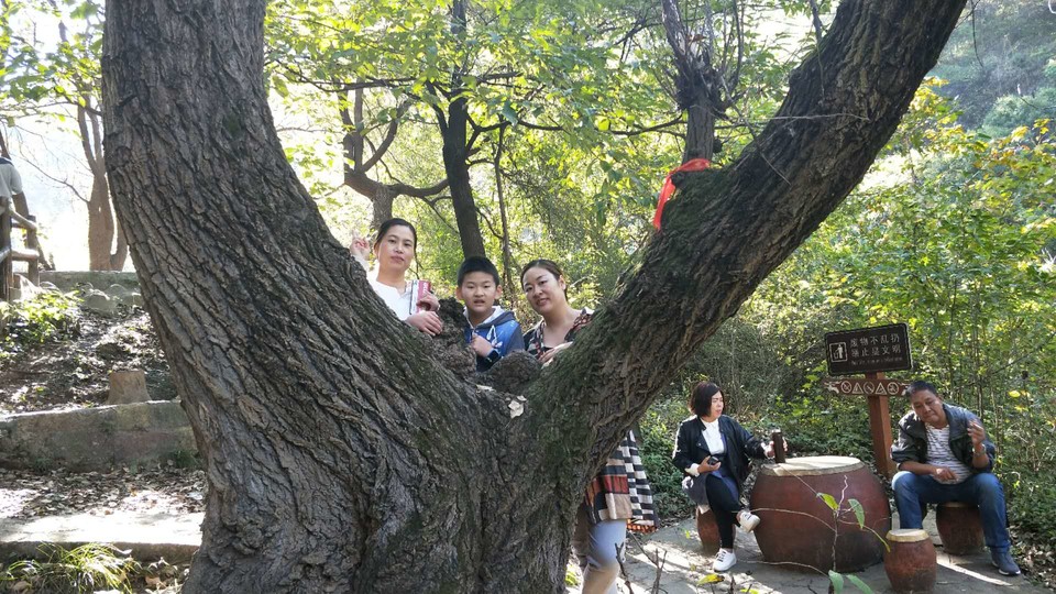 LC2n5TqdDDkVSrvOEEbENpjHXCx-KLY8emB6QsYw_fwvqpvwr48p1A7-3YlVxcQI