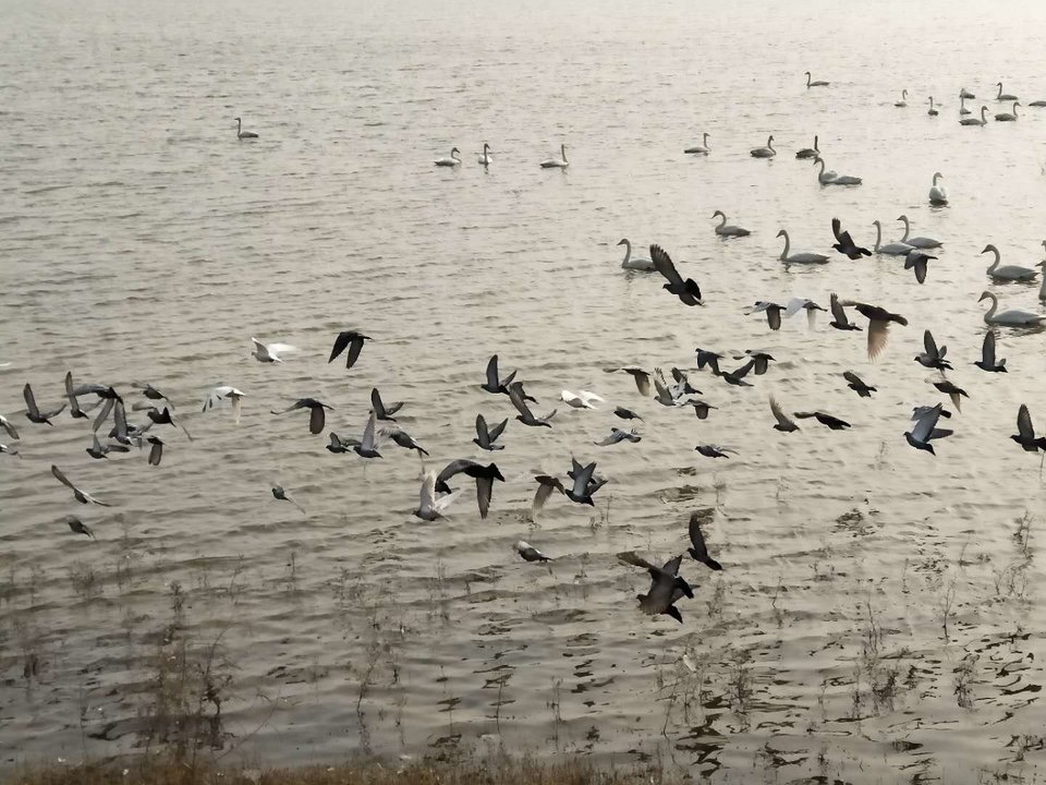 UywfECc5OjSiVcwwNhiWw5rf8VOSJAc3mCzNigr2kMOa2GEfQVqgoO_6REx_q_ys