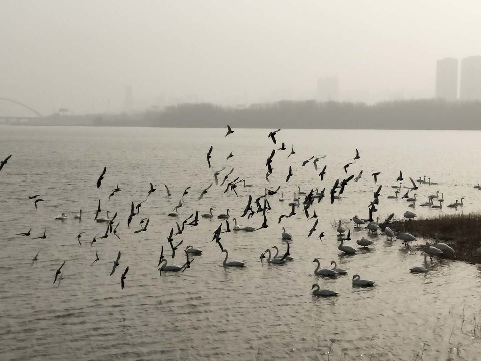 K72UnfSbcxKdgzFTa4kej9PXQJ-DUVn2ChjctdAUXDQLz8wYYfOLQM_DL9uVUreu