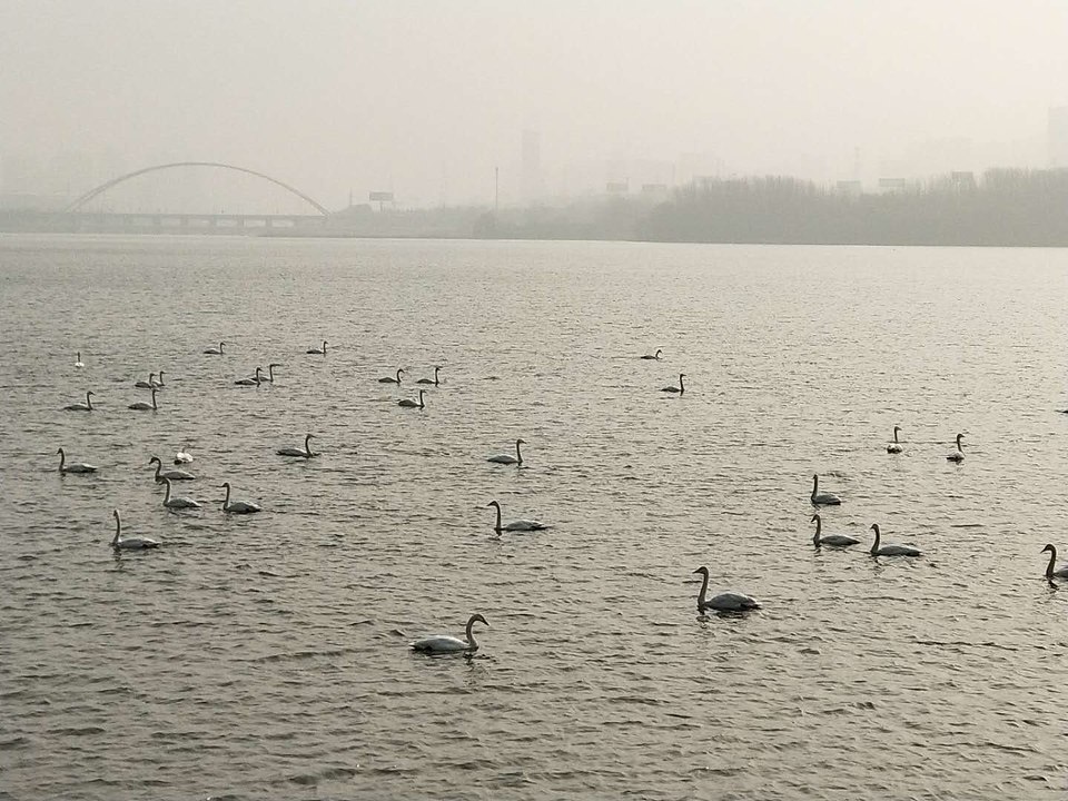 gD9escTXTa6qdAj7SFSlSfFT6jFlLk8sXiVKCcefaLkSJ62GakxbbJFZXWi6dPd_