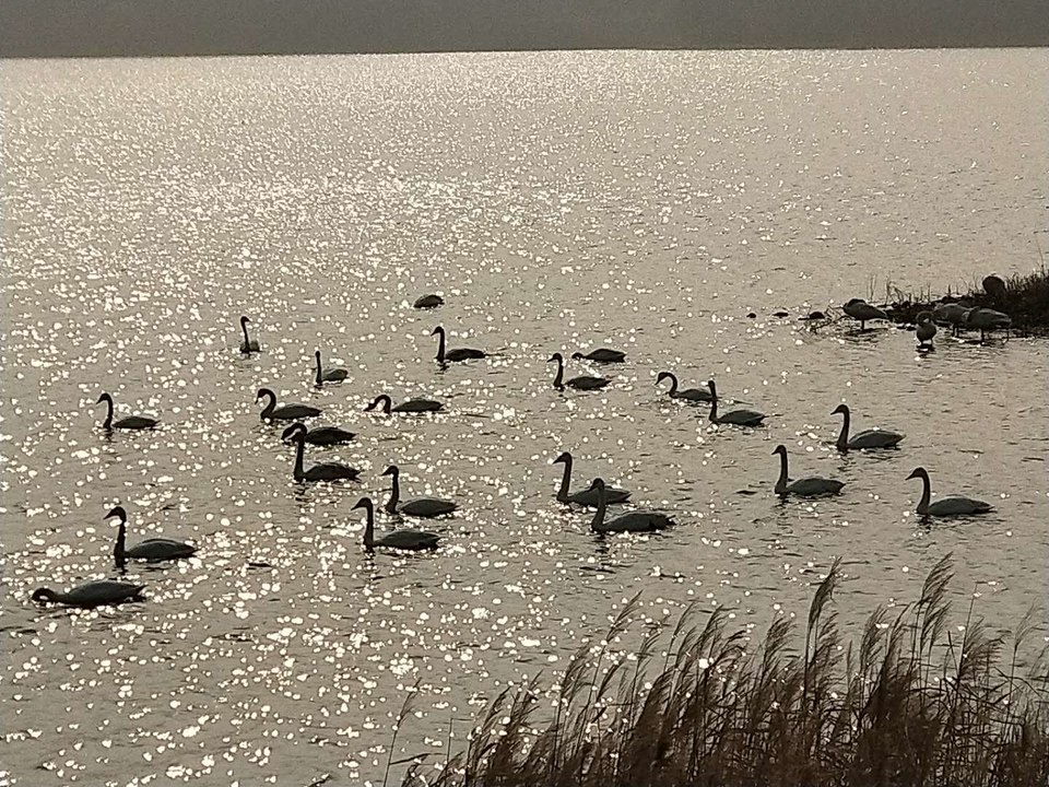 PBQfWHbLSJrBNJU0cwEZzjBP_PsGVWAAfqVBZFgxxOrpGroqYTajAEKqXueax_o_