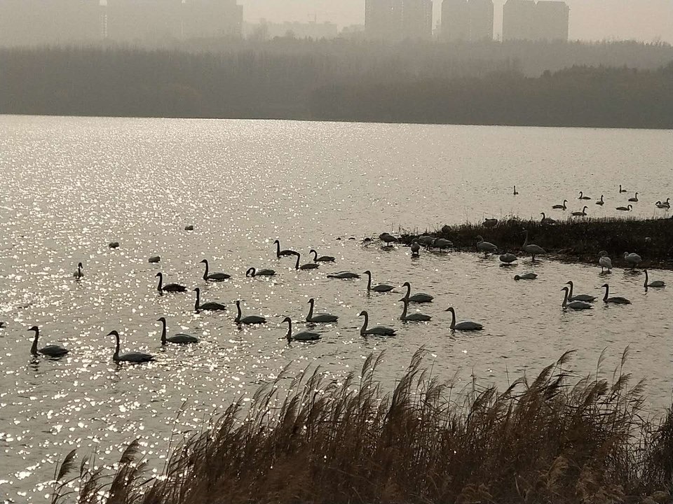 St4NKoK1In__7C17iY43w6HAQk-HWwb9_5GqRDYBM3_u545opnrL0kimGMncHSoI