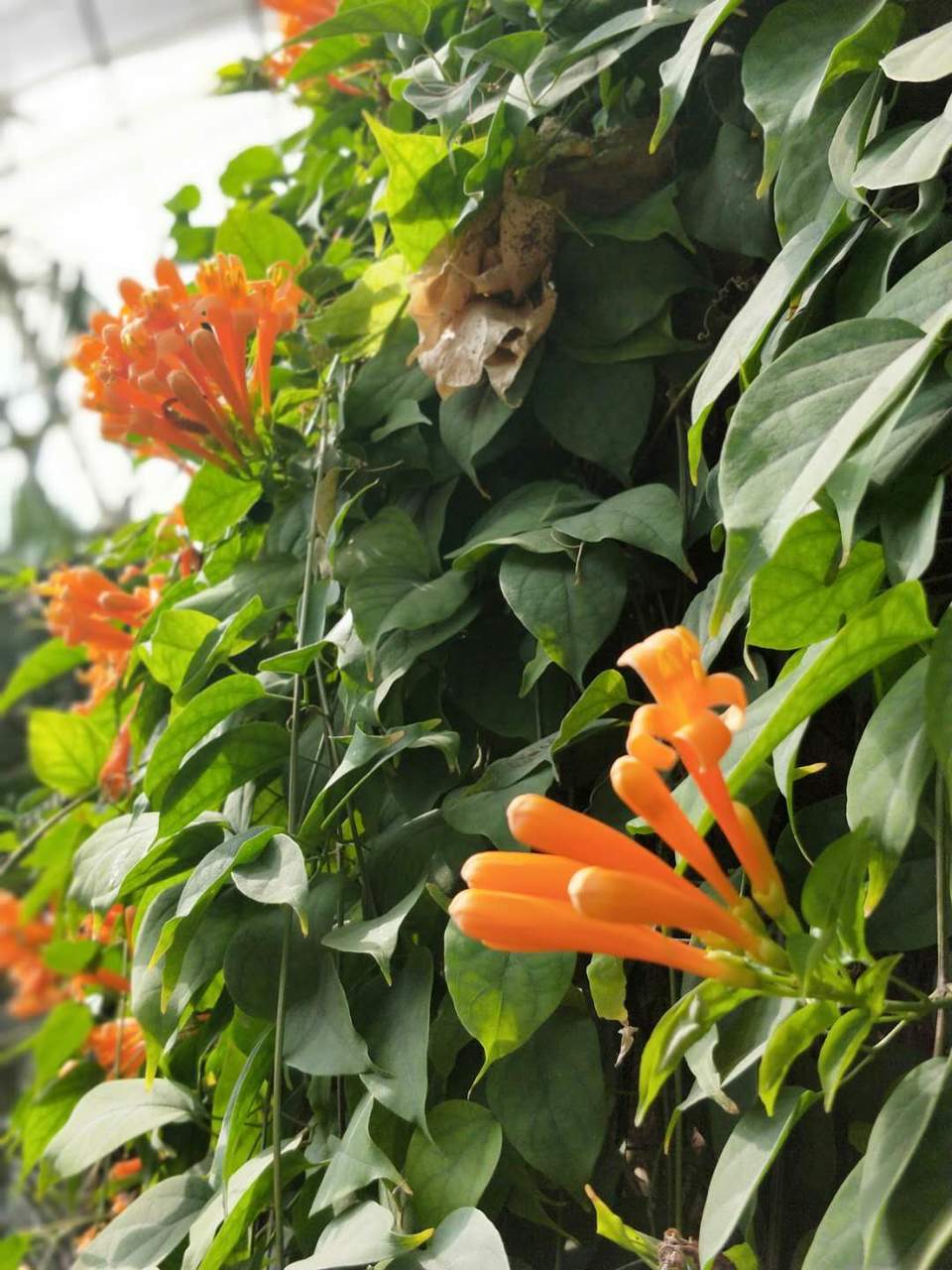 s5tiO_734WpjlqnFtDxAQ95A7Hmf4PwkKnKA-N7P8RoYnNjrH33JokfNHn2BqaE_