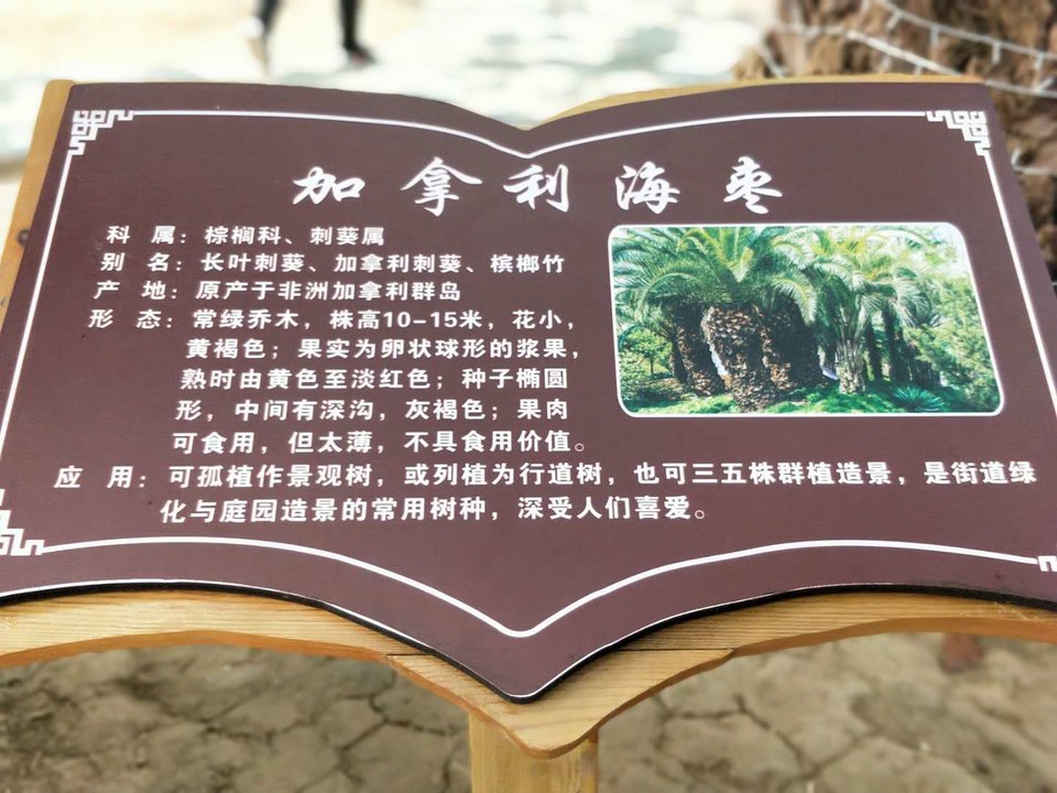 r6eVrJ9SuxC-cwGSnxzrC-2W29TlVwEqROAY2iho68dccf0fA4UONAR6AlxZWO-V