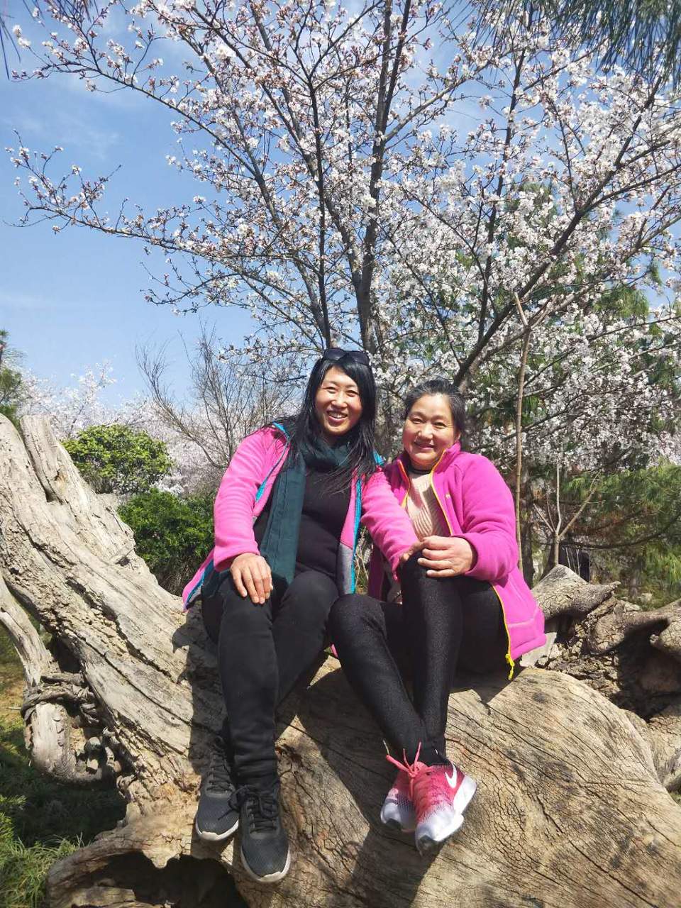 mifwSvhrOyrw3ryoxiH5PXI2ooizMeN5AyhSwzM5-A3PX9ThttIeTyiYe2zEZTe2