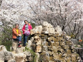 Z6wC7TIwScacWhWyBnbjrFDvb2F0bT0KHxqwWquoOUeu4jGm-Wt1q4_jcVKXMZ2c