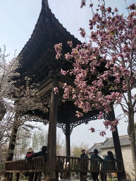 EVLlp3NMOJq8P7jvlLrzSw5V3pYvquBRUsuqiwzESstLjr_hCwt7tloUgEFaF0TN