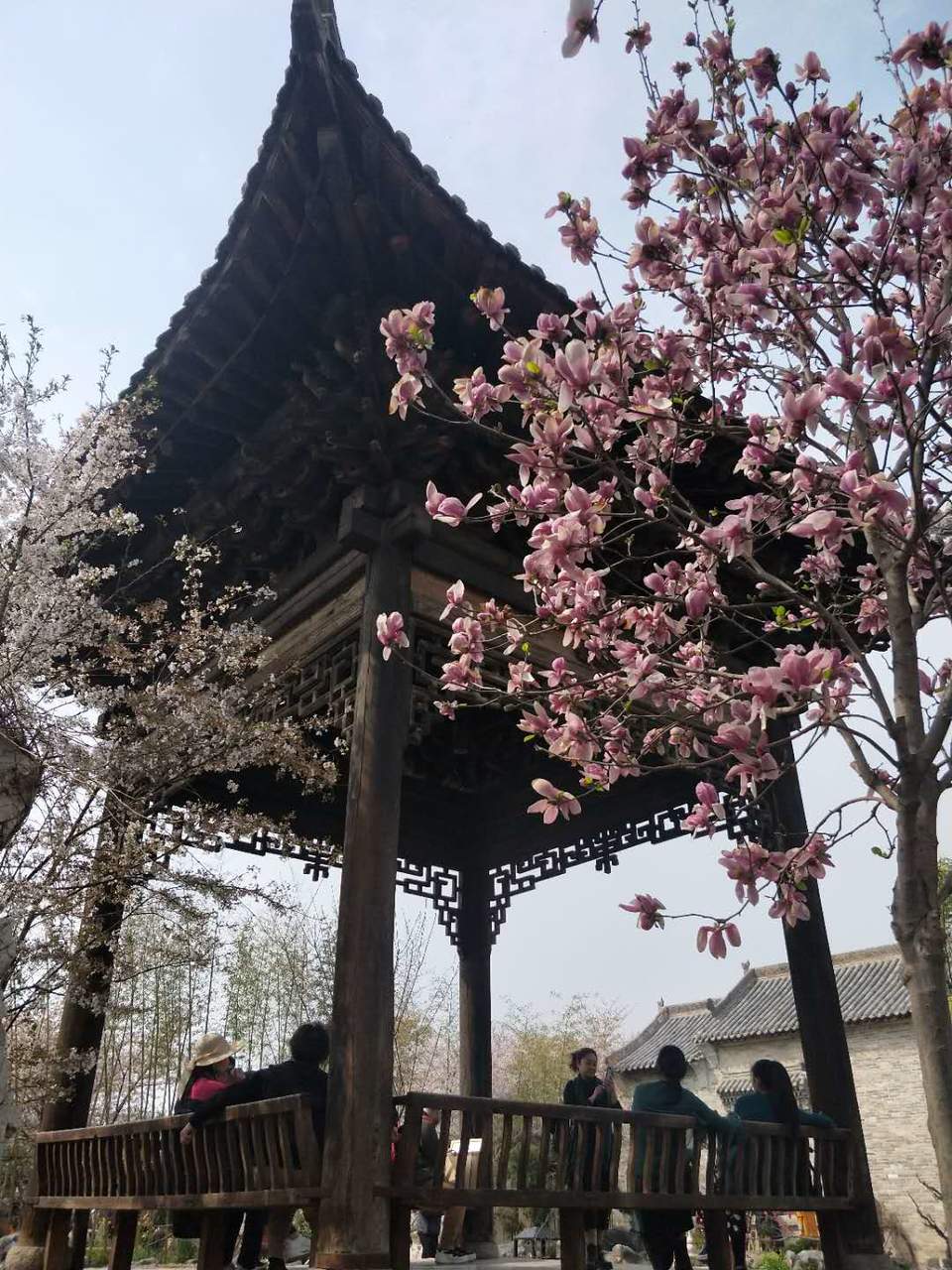 EVLlp3NMOJq8P7jvlLrzSw5V3pYvquBRUsuqiwzESstLjr_hCwt7tloUgEFaF0TN