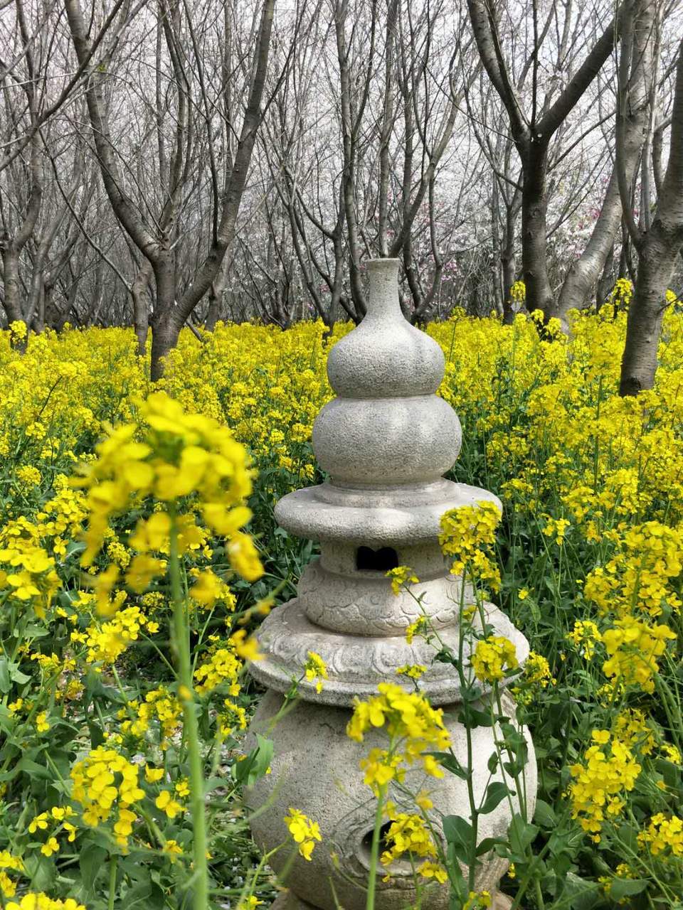 TKJPxEfXo6F4jNwVIIofVijkRnNzK7B_5YJsrfydIAdfZK3hFlIeQdOUMV1NpN5Z