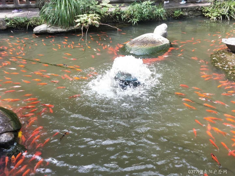 WQX0QMfU2_1YKq0YP30z2T0Sao2sHU_5rk9EdzPpCl0nt2zEyrtKG3lsWMwD_l9u