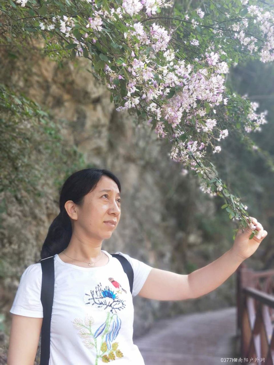 HSg6ckG9jYy-ZHzQ6NncerTV8tPXtdZdTD54l9rYkfBgVe6J_A3iC4cgNBTfpspM