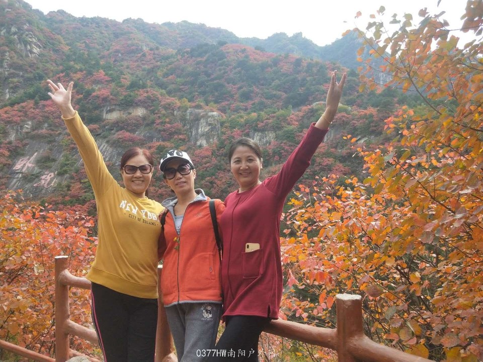 ysF5_zmsJuzhY-ZoHFSVSbJLXXtZKXjHbs12UEw6Sst42M1n1Sr8iWuoJvlbH10D