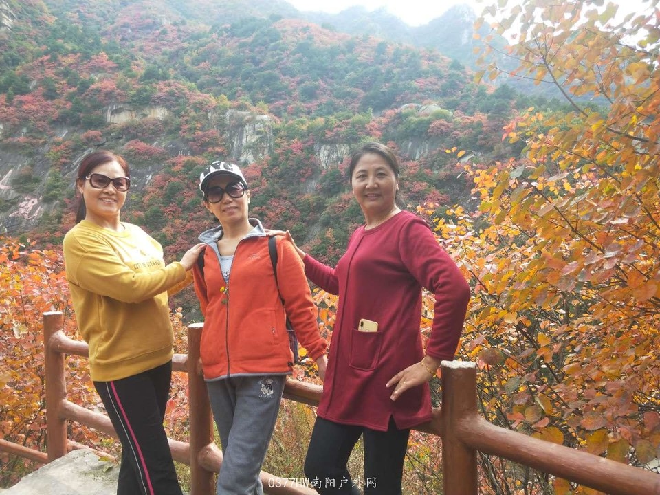 PRnsTNA_W6DkXu7FurnfbXfPSckSCiX_R0rGjt5jz5pz5Y5Icwk5TTTrSBiTUj8F