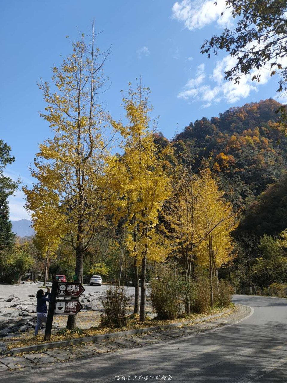 cnAJjnTbFRriYx3e3TCcrqlHDaTol_B_KXvO_VxUHi3TfJkD_nKVf4wDgSS3yFqo