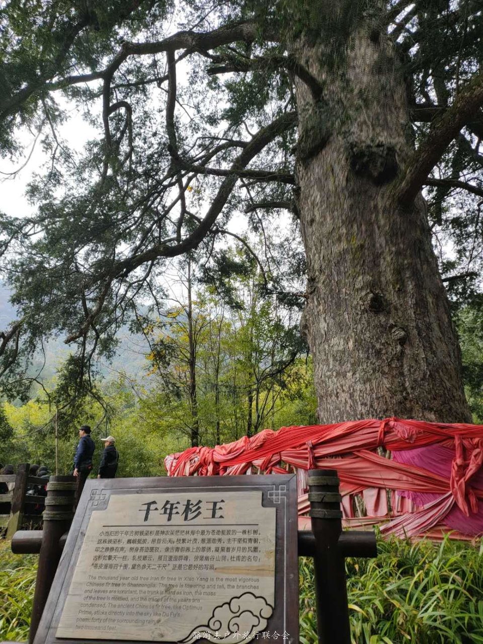 0YECeR58Xf3aWcx3EYaRMgeCx7FZX87Bw-naoEcgTzw1dQl8rLJj-x6eajq7GaDb