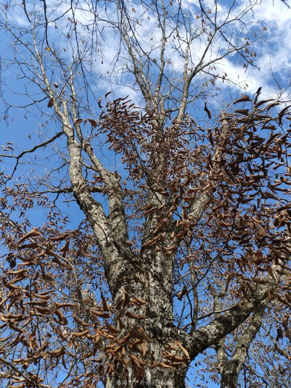 gbl684X6dsji3og_Kh8ruTxa8Y6qd-Sl5NQcJKaGkeOSD3NQvefPAOZjvnEti9Fl