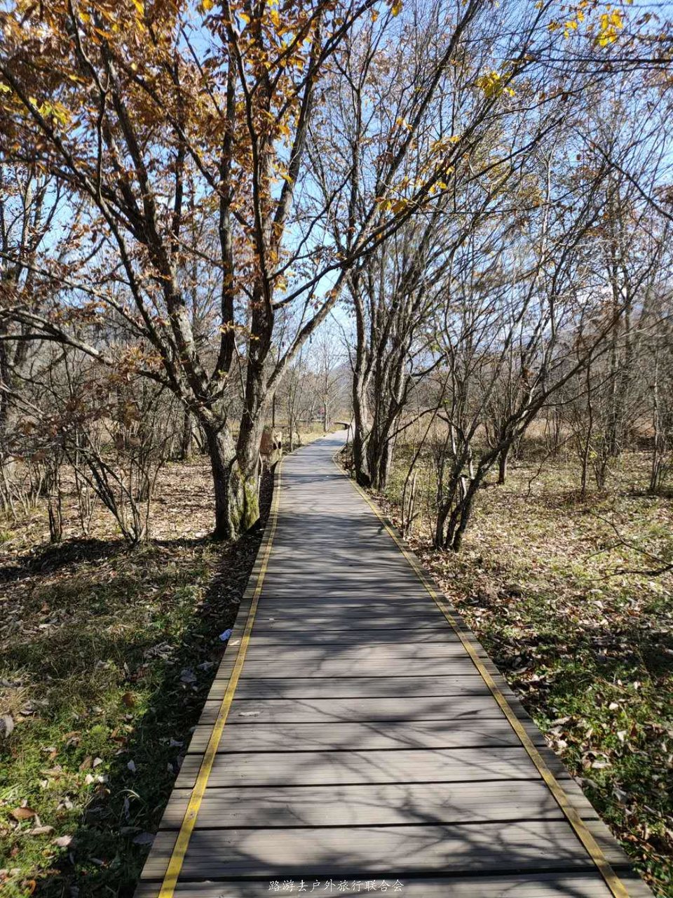 z77mJ8Sv4y6ksIXwNIQYyYpw2BOMXNV9vLcTBY30_WJwXFqcujhBsqsm2aWuEHKV