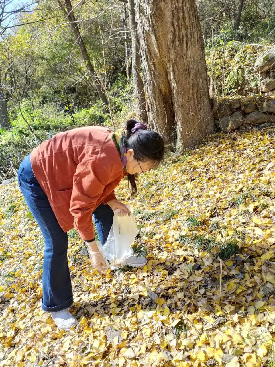 Q-DXTOvJNtRzYKcbajaltIjr01SYDgwt2hTUg64SpPqC8lxRuBp3ZPXlq20aBfXi