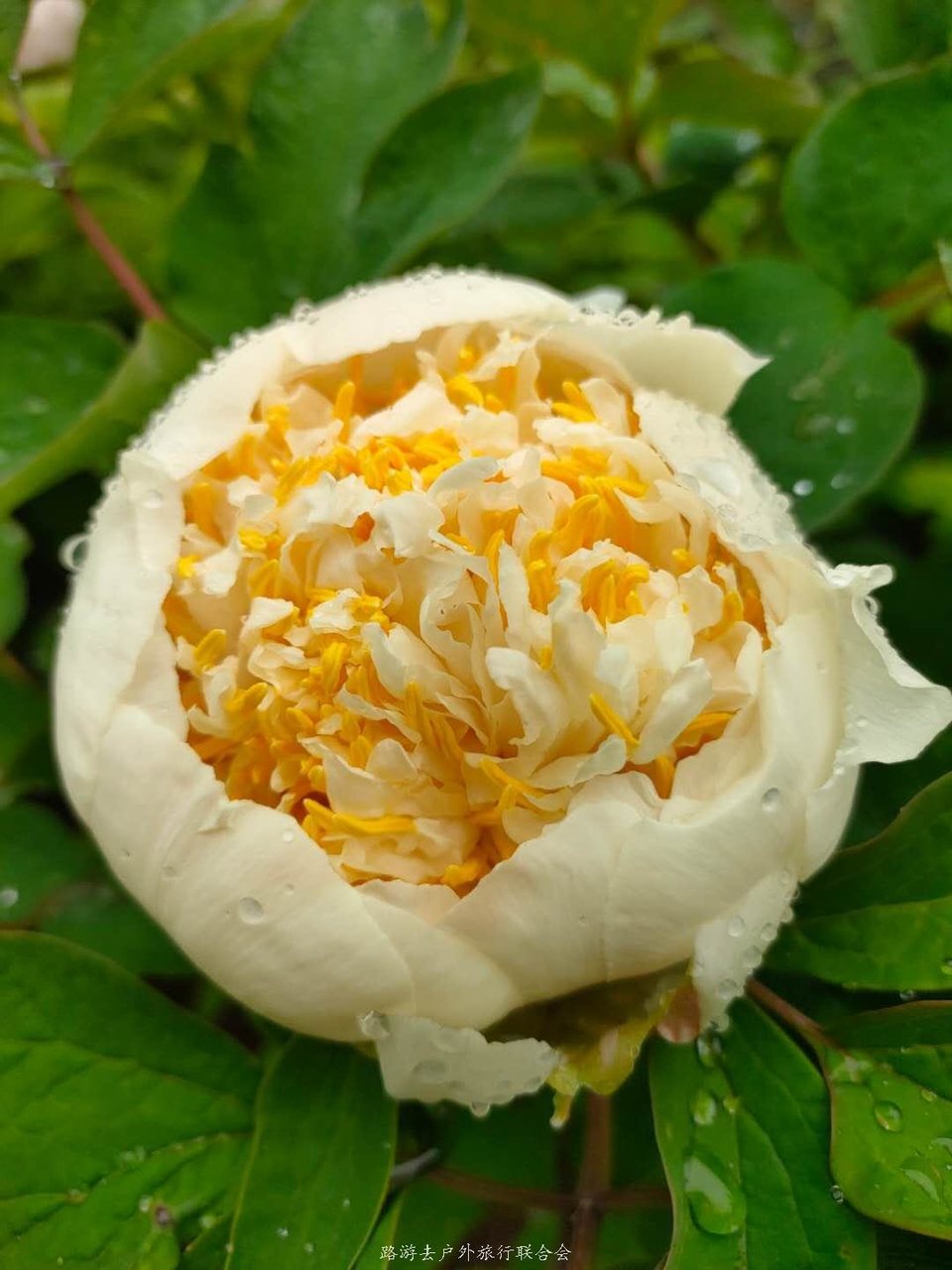 TmqlDaFB187C71Md-7OxxMVwlIBoNrJh8RrxObT73a_LPN3Rz1EtDZ-y0Blc5TbP