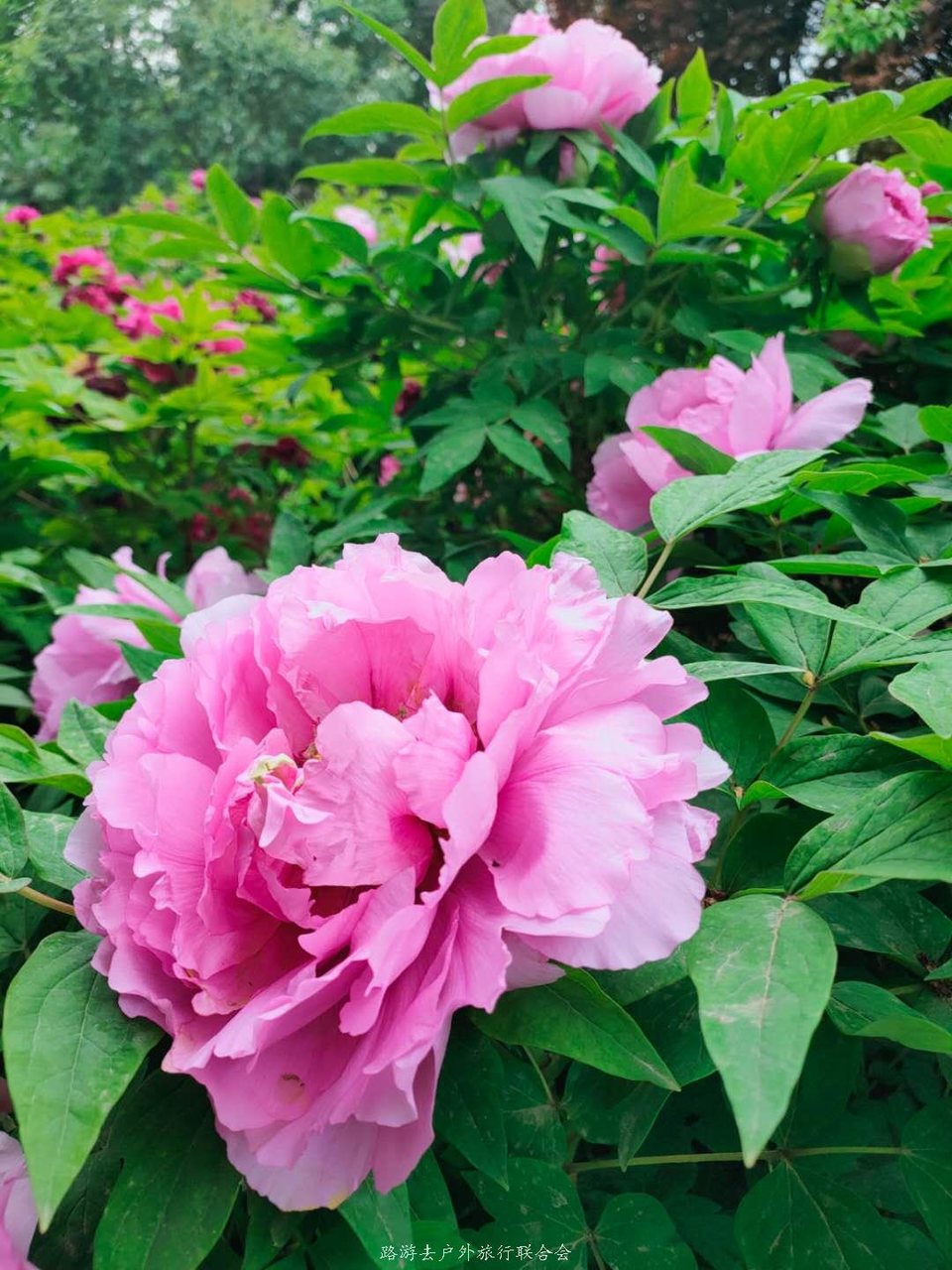 rmptf81cjNRC_YX1VglVYIFEvjZW4ghsaf2NAGZ-xhyUepiPvazlKYyPXkcD0ZQj