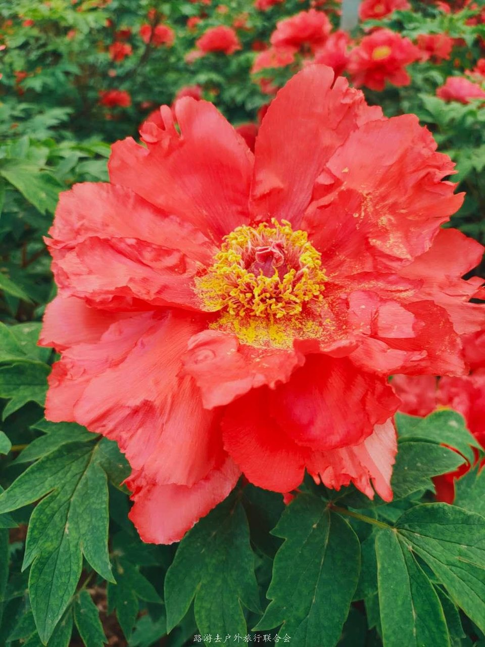 0Tfitdf4KWMKjgcSbo8-NKYUWtN3w0KFARMhnvxmauRfezvRdvPWXZapE06s_Z-k