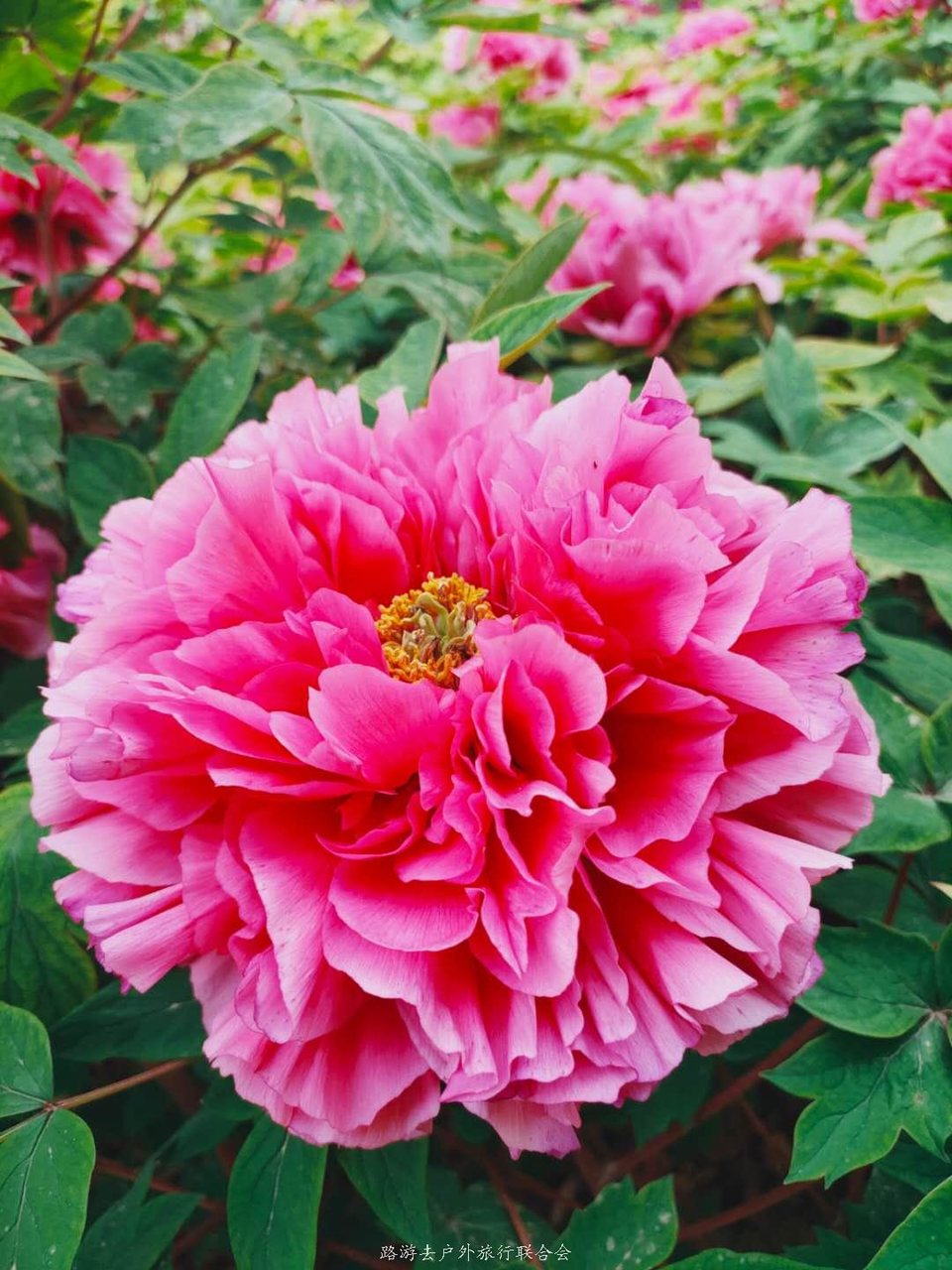 I1-on4MFep9CqGa5CnWcP7F_eMdV40llQp2ctDFs5kEELx8tWCTBbRXhhATX6ZaL