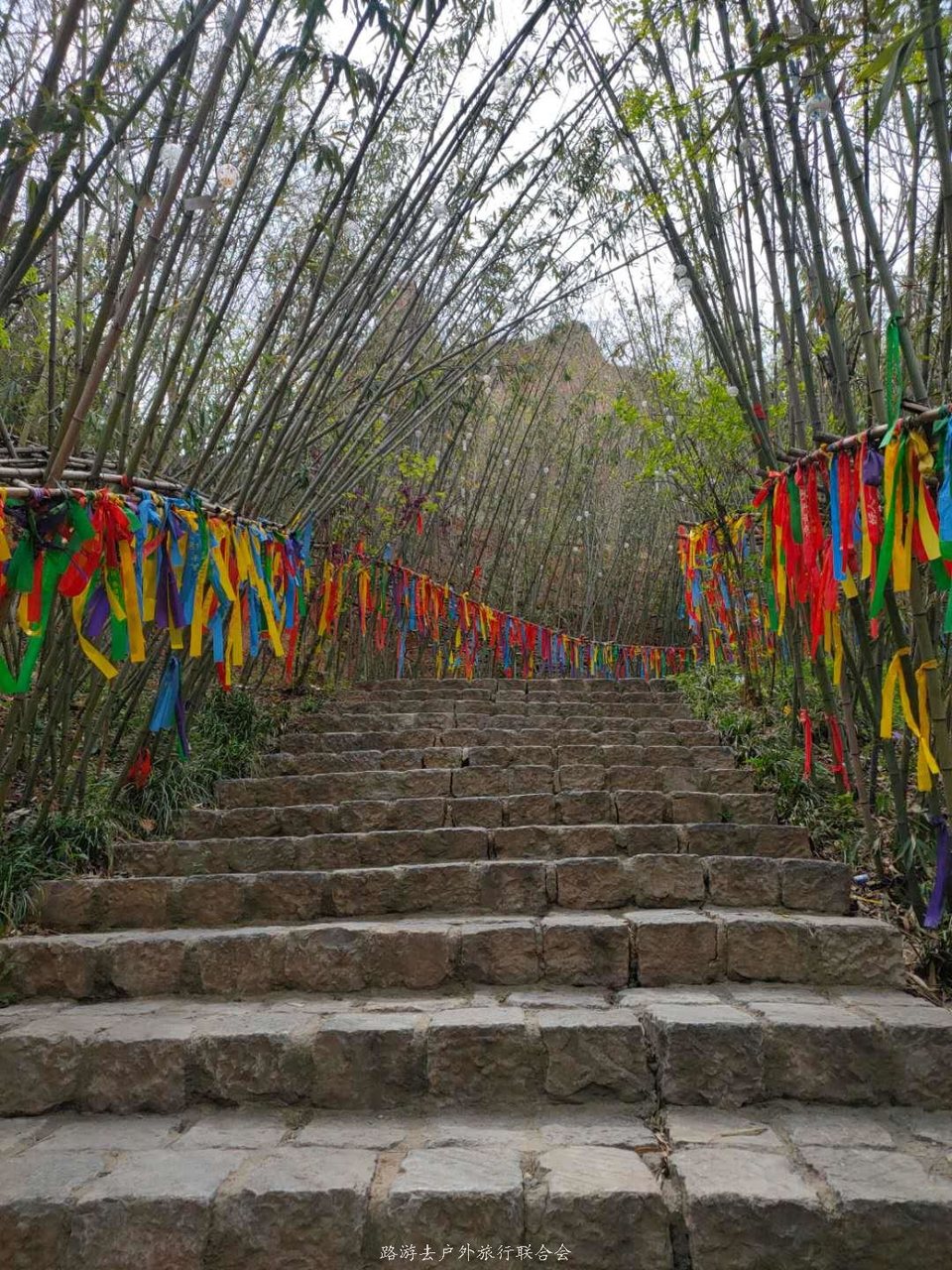 XliOYf9869f_7kurMboIMI41XnjCjD7m1jOCicZm1yEQas3FX53tFrEGTXdOFqed