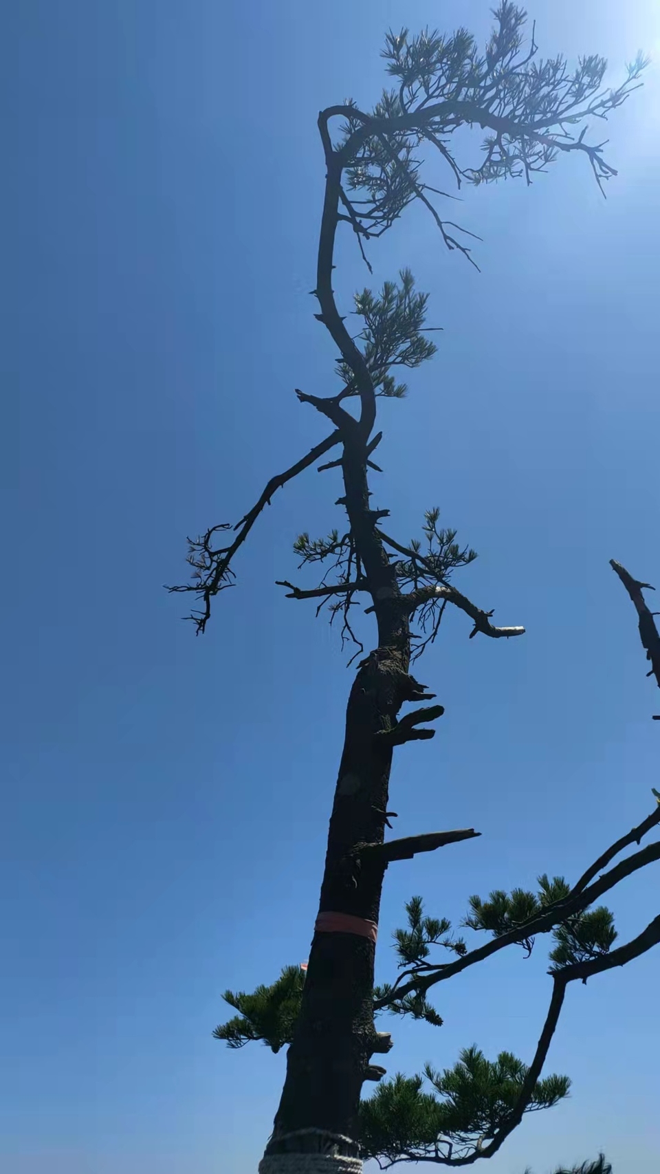 QN6Q2kr2iwFUMX7gdmMW1gIoAOsmkpkdYGk6SeW-QhAUHvYOxEPBNFtd2H4aES1B