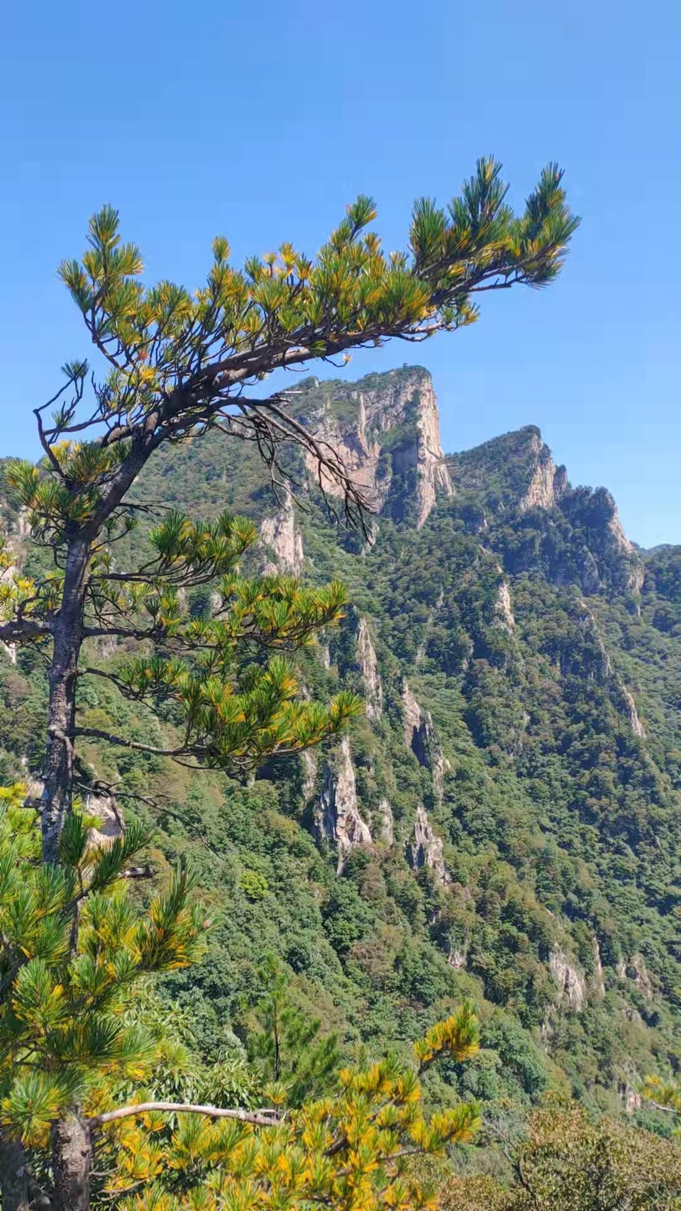 QN6Q2kr2iwFUMX7gdmMW1i7BM1x6j2M2RVy_Q05jSpOHI70i8ymOlvP0jXUly6Pe