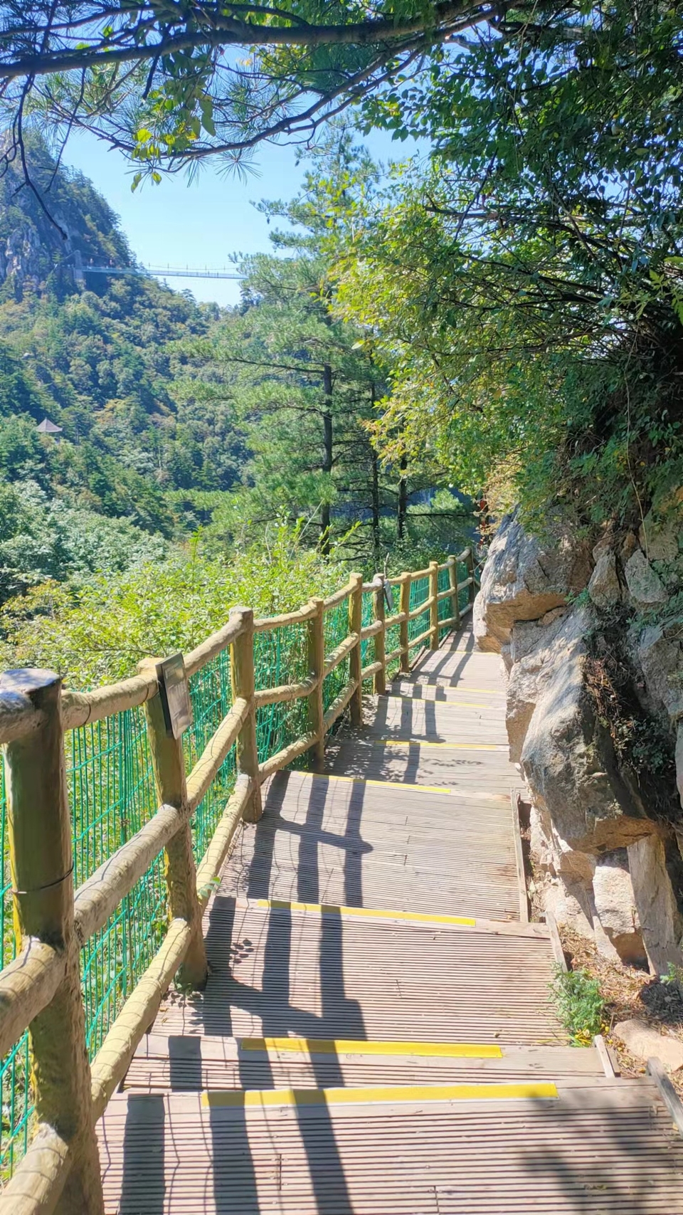 uEzGwL7OlCUS5Uy_v0bDgYMmRhRSjte6AQU_qjRQTZT2E3lJefZZoNtYAR2Dr2_I