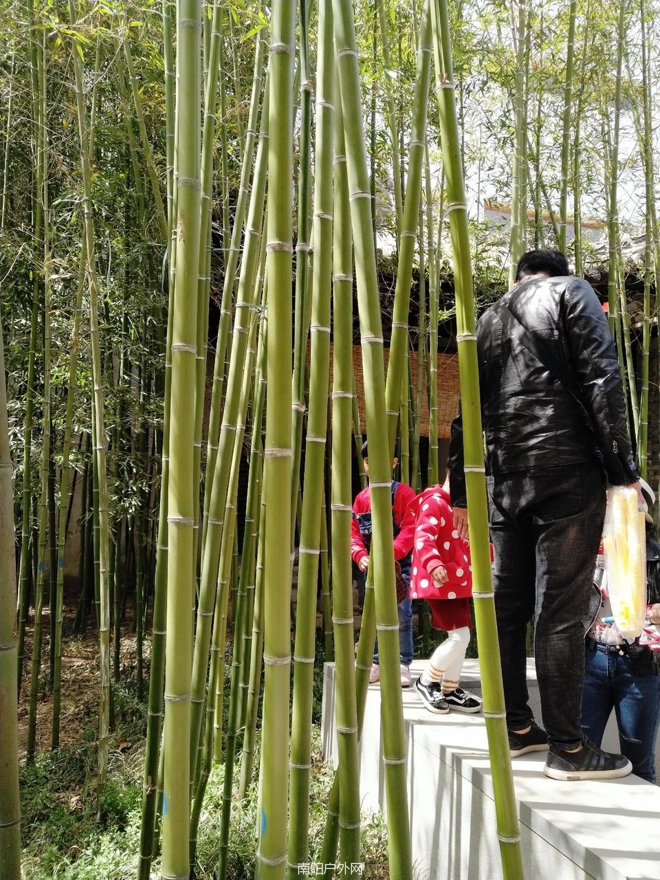 IMG_20180406_123152R