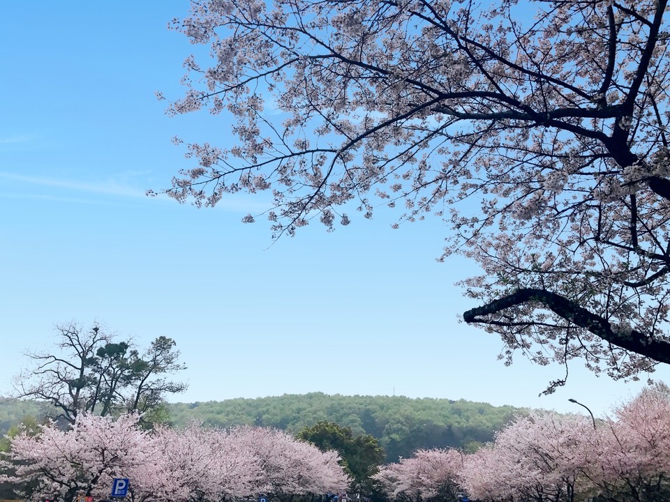 66D18787-EEB0-47B6-A345-4AF999B37153-10181-00000D466BB3BC6F