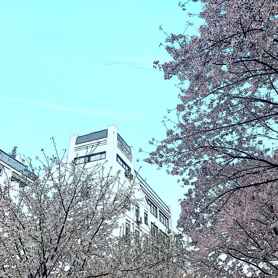 C2F8B5E1-23DC-4E31-9133-486EAF83E1A9-10193-00000D4804706FCA