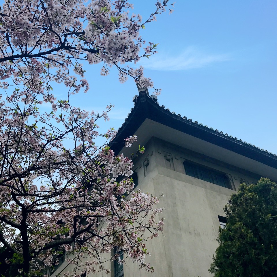 17535F3A-BD49-473E-AD3A-C004C34E9B80-10193-00000D4A2ED3D2F2