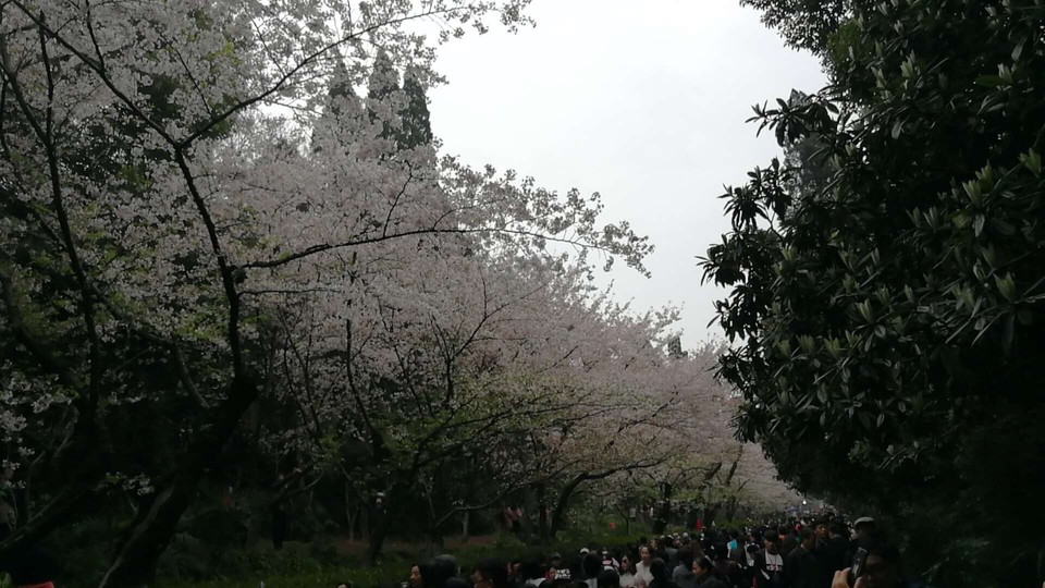 05778C30-6231-4185-8562-1F304274A8AD-10002-00000D3B259D9FF9_tmp