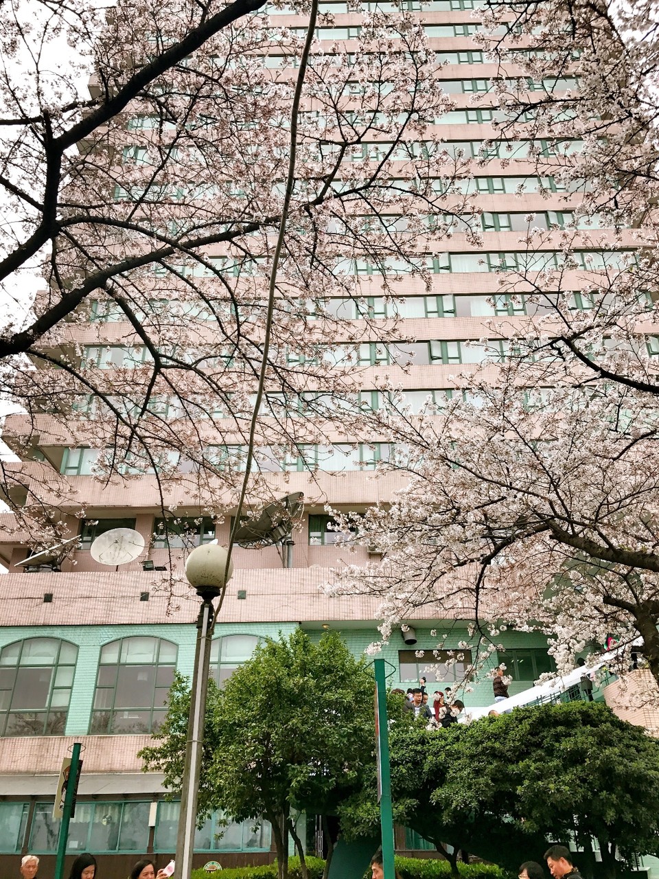 EB8DB04E-146E-4B64-80D4-19A7D011549E-9535-00000CDC62785378